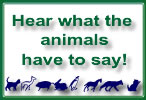 read animal quote