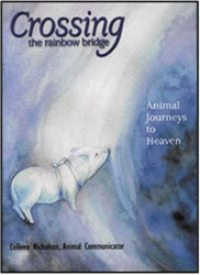 Crossing the rainbow bridge