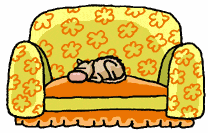 cat stretch