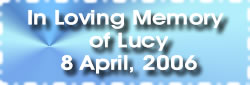 In Loving Memory of Lucy