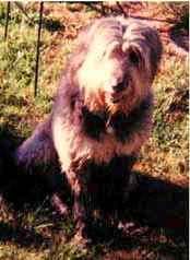louise