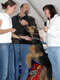 93Q 2004: Image