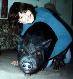 colleen and clover