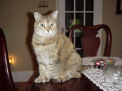 Penny