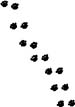 pawprints
