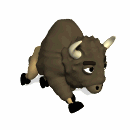 buffalo