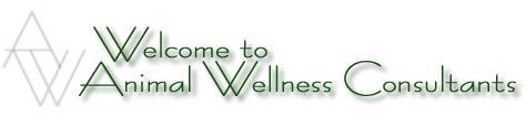 Animal Wellness