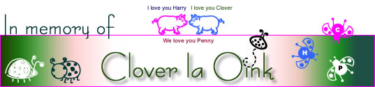 In Memory of Harry