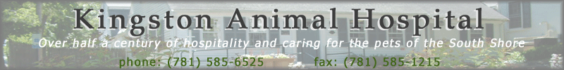 Kingstonbanner