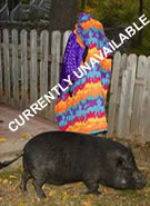 Pig Capes