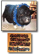 Pig Scrunchies