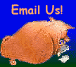 Email Us