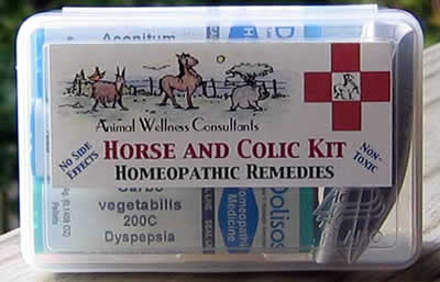 horse kit