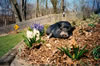 GardenH