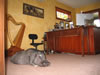 Z008OfficeH