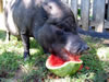 Aug23C-