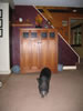 CLO Nov2008