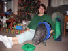 CcloverXmas
