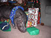 Cgifts
