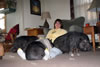 Colleen And Herd4x6