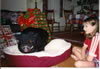Cxmasbed2