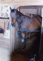 Five Furlong Annie