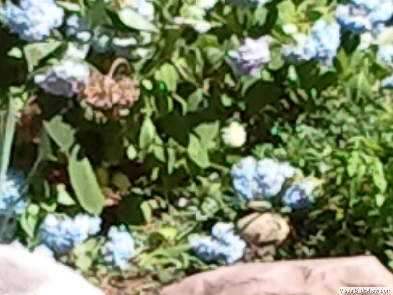 2011-06-30 16.03.09