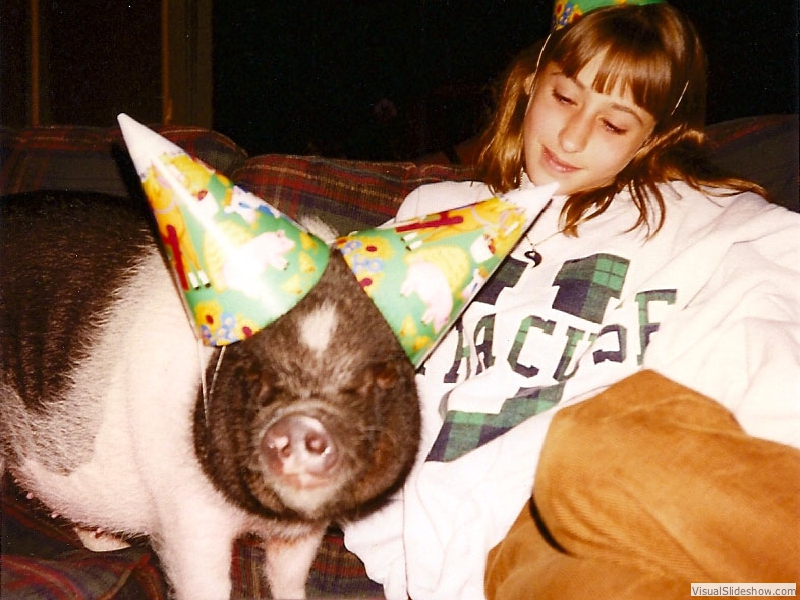 bparty3