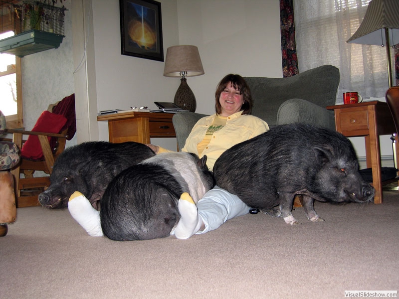 Colleen_and_herd