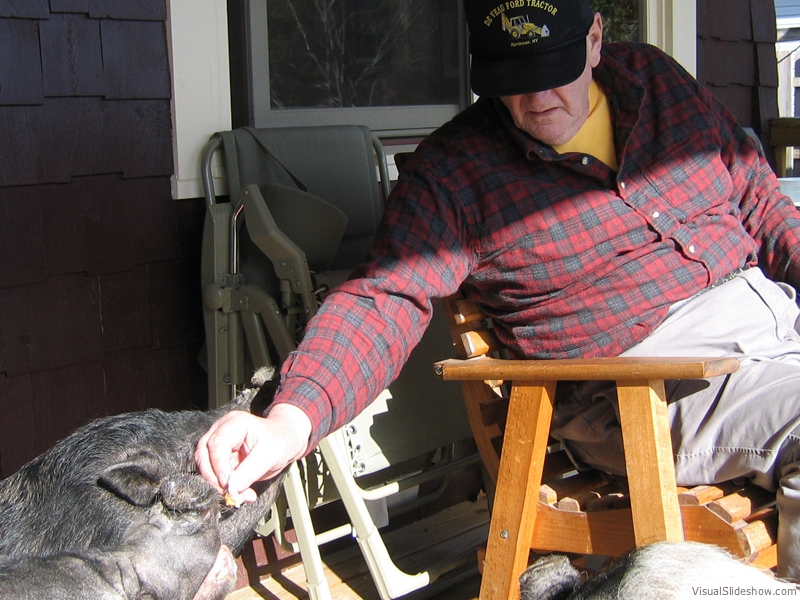 gramp_herd
