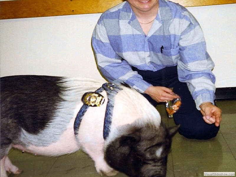 jail_badge2