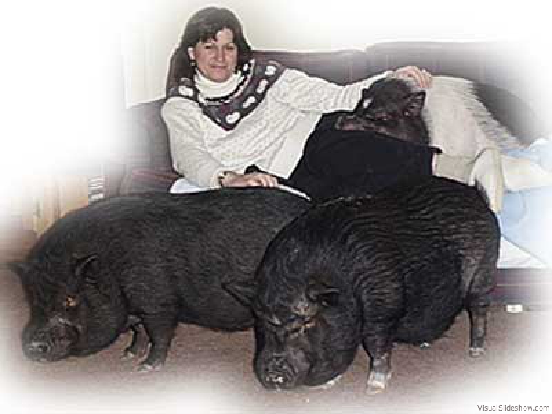 NicholsonHerd