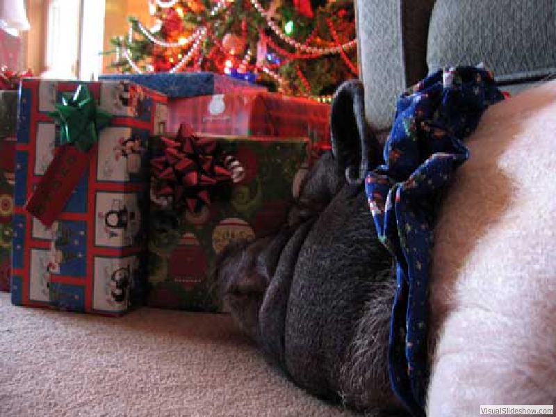 Pgifts