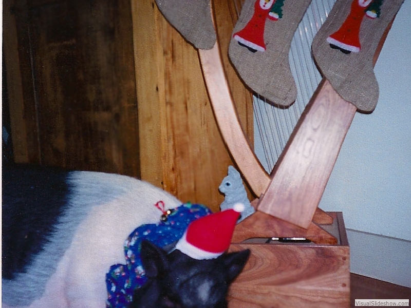 pHarpXmas