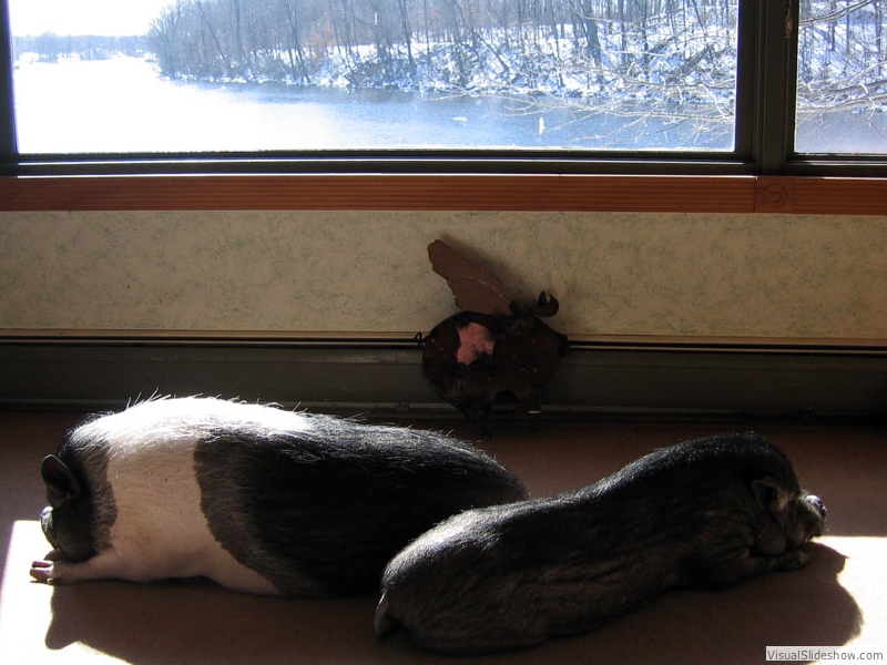 WinterNapPC2010