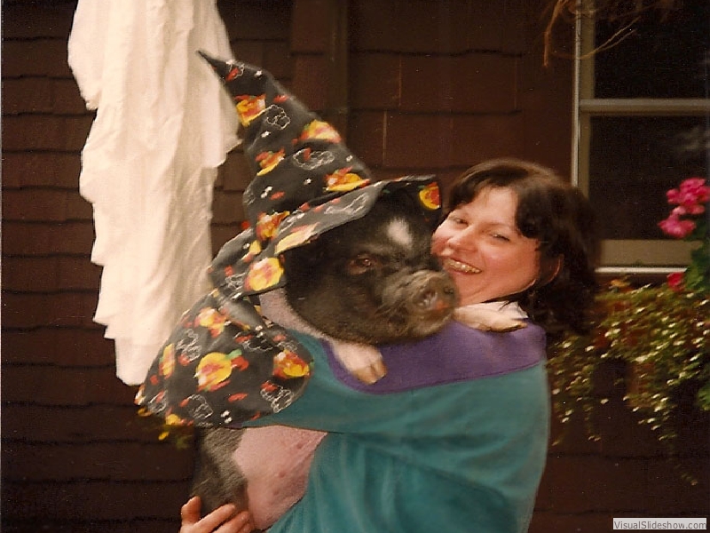 WitchyPig2
