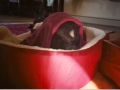 bed_p_sweet