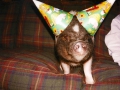 bparty4