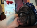FromSanta