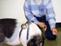 jail_badge2