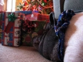 Pgifts