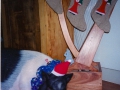 pHarpXmas