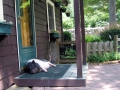SummerSnooze