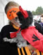 My Gallery: Image