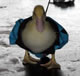 My Gallery: Image